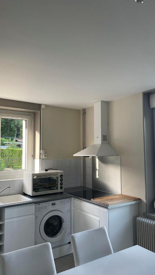 Appartement La Fourmi Verte Bruyeres Dış mekan fotoğraf